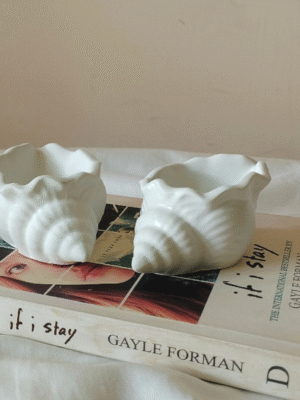 Mini Conch Shell Pot