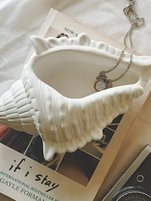 Decorative Shell Vessel