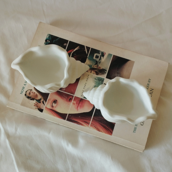 Mini Conch Shell Pot - Image 2