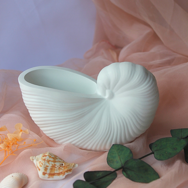 Decorative Conch Shell Holder