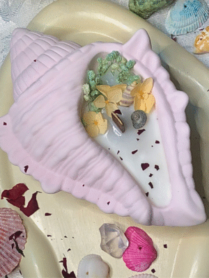 Conch Shell Pot Candle